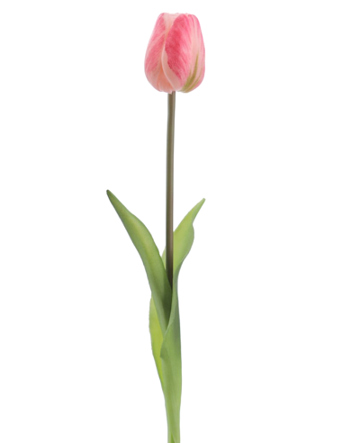 FIORE 2748-12 TULIPANO ROSA