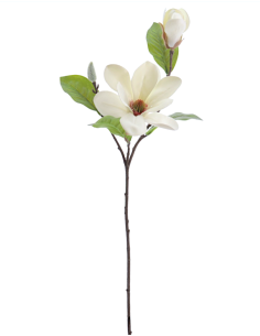 FIORE 4331-01 MAGNOLIA CREMA