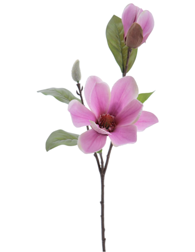 FIORE 4331-06 MAGNOLIA MALVA