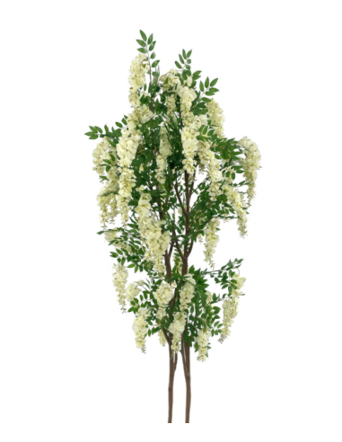 PIANTA 7586-01 GLICINIA CREMA 2,10MT