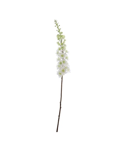 RAMO 1422-01 DELPHINIUM CREMA