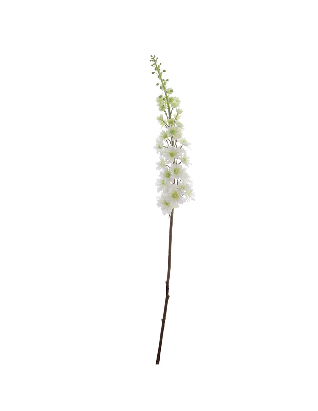 RAMO 1422-01 DELPHINIUM CREMA