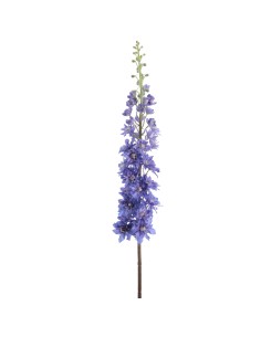 RAMO 1422-10 DELPHINIUM BLU