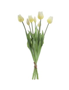 MAZZO 2752-11 TULIPANI BIANCHI