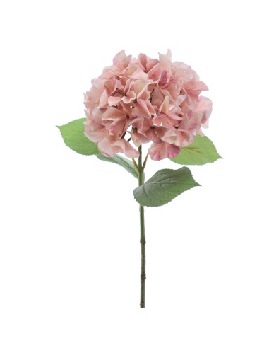 STELO 2764-12 ORTENSIA ROSA