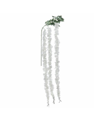 RAMO 2770-01 WISTERIA CREMA