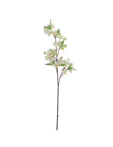 STELO 4382-01 MANZANO CREMA