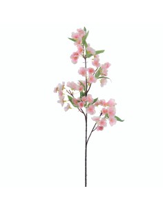 STELO 4382-12 MANZANO ROSA