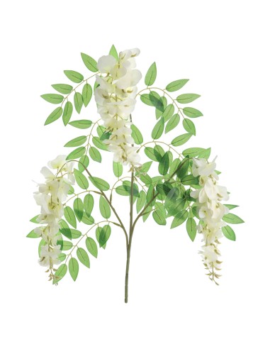 RAMO 4383-01 WISTERIA CREMA
