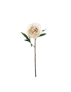 FIORE 1423-01 PEONIA CREMA