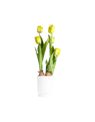 TULIPANO 28030 GIALLO CON VASO 13X58CM
