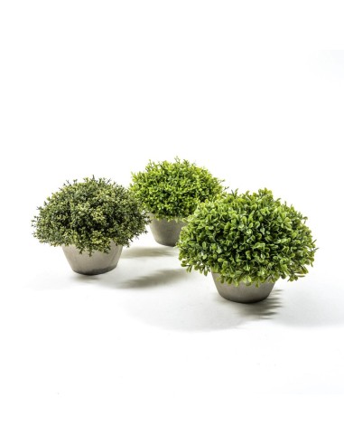 PIANTA VERDE 24851 PLASTICA 20X17CM CON VASO ASSORTITO