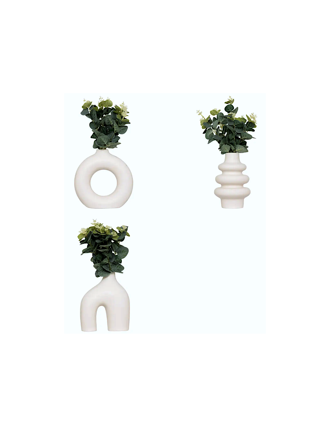 Composizione eucalipto con vaso Suza modelli assortiti | shopincasa.it