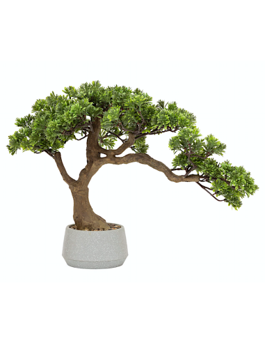 BONSAI 206548 POLIN 45X60CM VASO CERAMICA