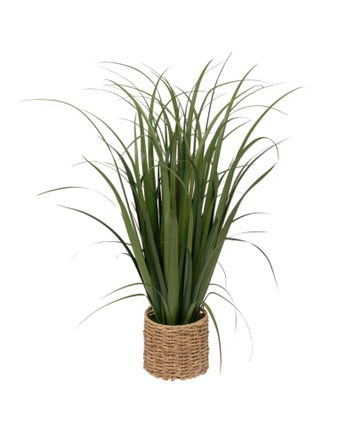 PIANTA 206551 ZYA 96X122CM VASO FIBRA NATURALE