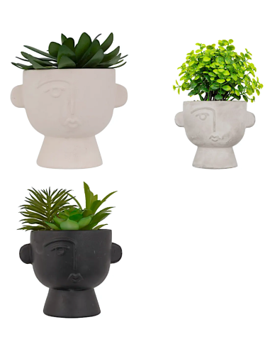 PIANTA GRASSA 206558 DUSTY 15X12X16CM VASO CEMENTO ASSORTITO