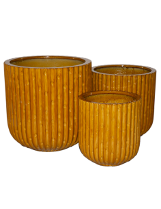 VASO 140503 2 MIS VETRORESINA SENAPE 24X25CM