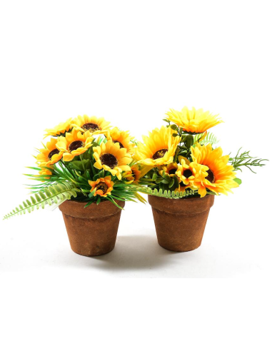 PIANTA 44446 GIRASOLI ASSORTITO 22X18CM VASO PLASTICA
