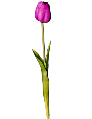 FIORE 18120005-11 TULIPANO ROSA CHIARO 45CM