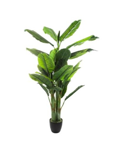 PIANTA BANANO ARTIFICIALE 170CM