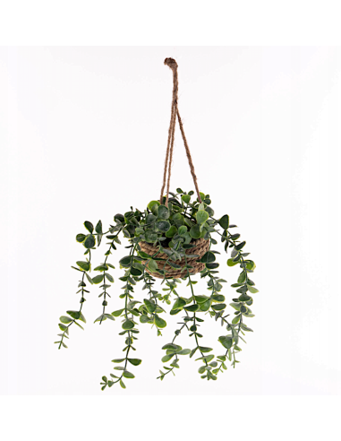 PIANTA SOSPESA 206530 PATRI 14X47CM ASSORTITO