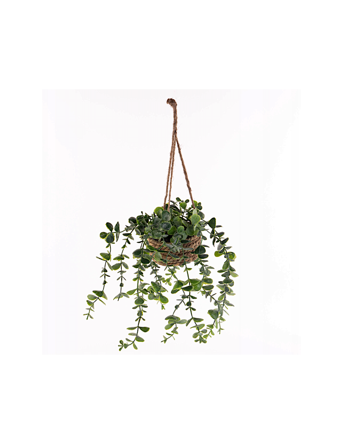 Pianta artificiale sospesa Patri H 47 cm Atmosphera | shopincasa.it