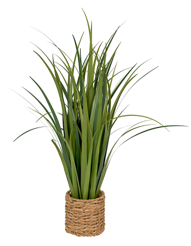 PIANTA 206550 ZYA FOGLIE LINO 70X91CM CON VASO