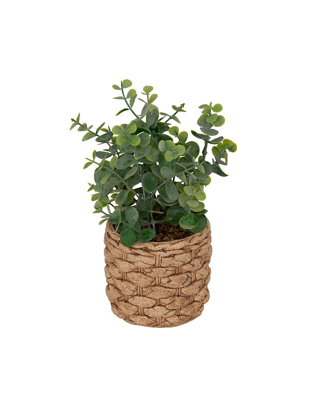 Eucalipto artificiale in vaso Jaye H 27 cm multicolore | shopincasa.it