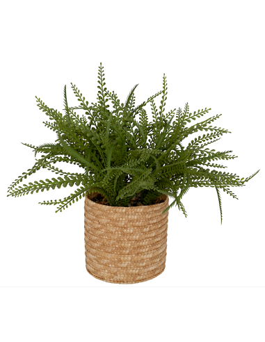 PIANTA VERDE 206609 CLEMY 45X30CM CON VASO