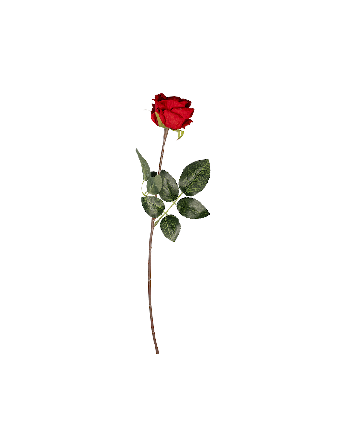 FIORE 40160001-03 ROSA VELVET ROSSA 45CM