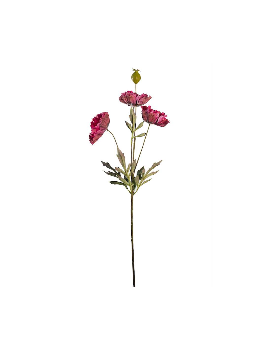 STELO 18140024-12 3 PAPAVERI 70CM FUCSIA CON BOCCIOLO