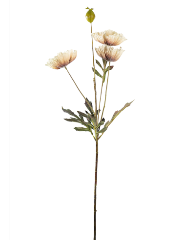 STELO 18140024-147 3 PAPAVERI 70CM CREMA CON BOCCIOLO