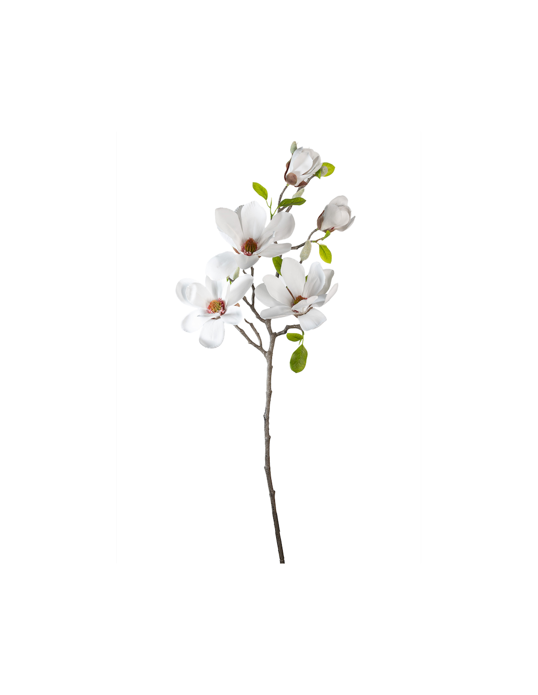 STELO 2700334-10 MAGNOLIA BIANCA 3 FIORI E DUE BOCCIOLI 75CM