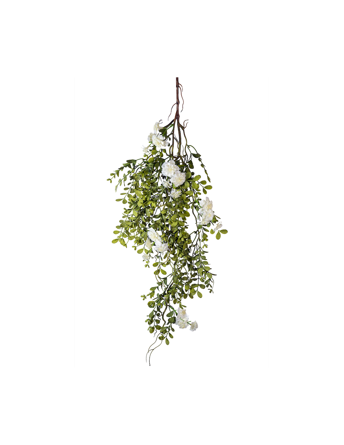 RAMO 271001436 SUCCULENTA CON FIORI BIANCHI 85CM