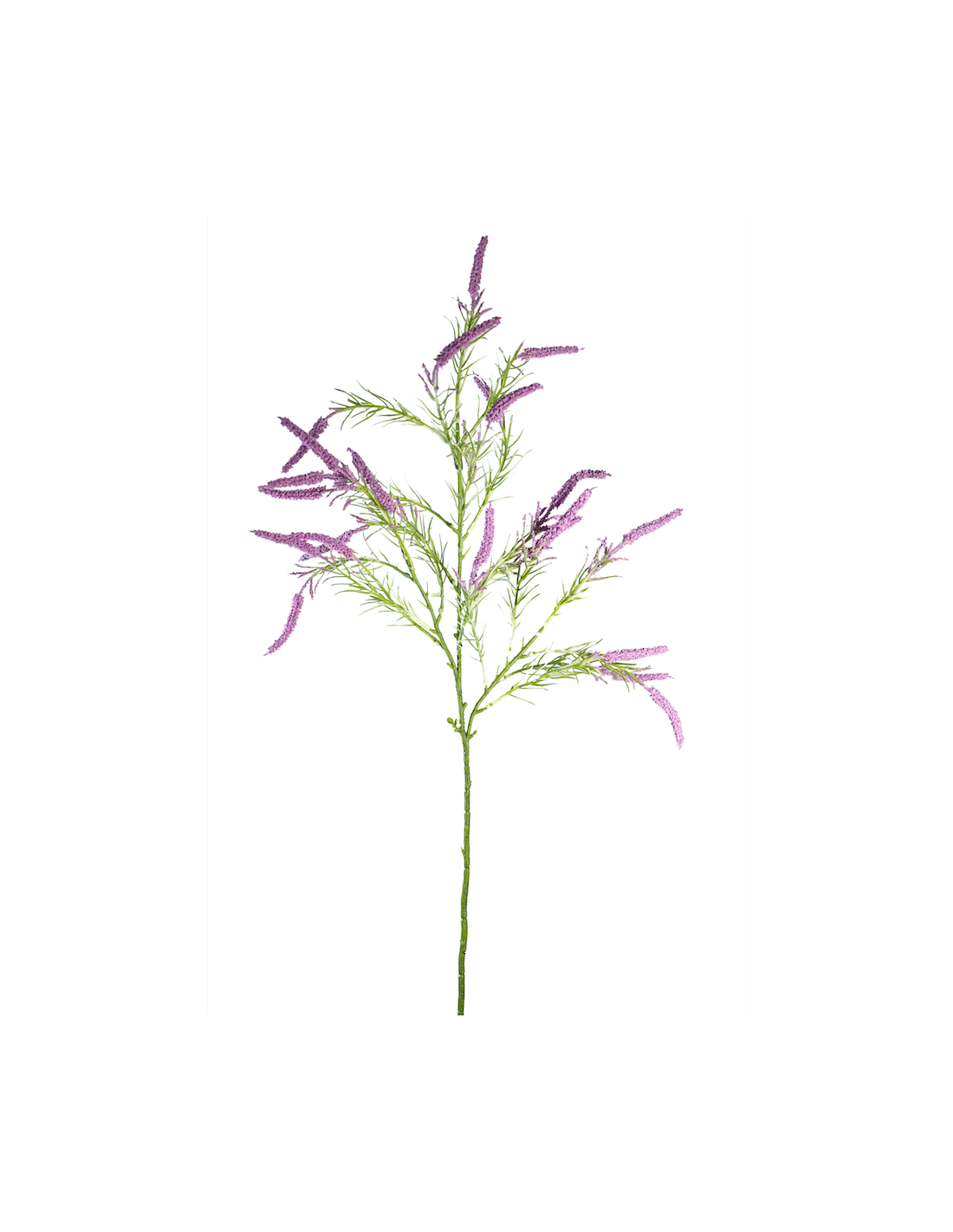 STELO 4009000817 VERONICA LAVANDA 70CM