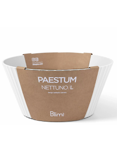 NETTUNO CIOTOLA 25X12CM BIANCO
