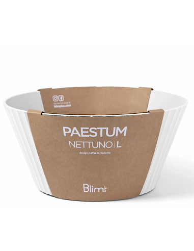 NETTUNO CIOTOLA 25X12CM BIANCO