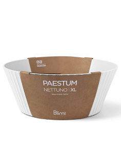 NETTUNO CIOTOLA 30X12CM BIANCO
