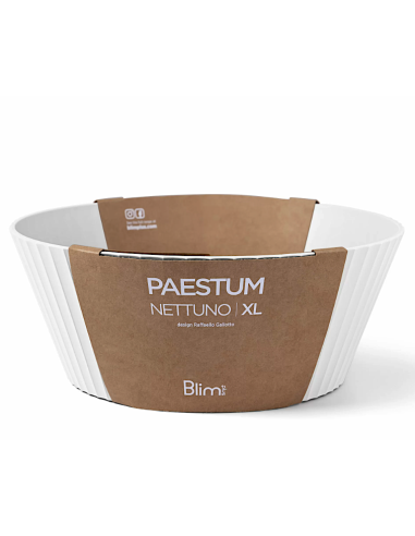 NETTUNO CIOTOLA 30X12CM BIANCO