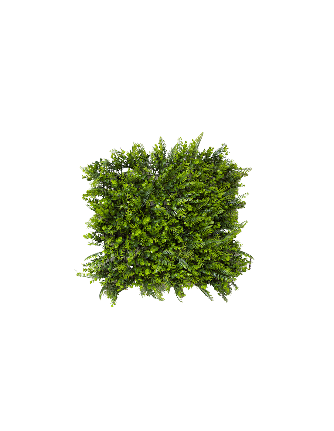 TAPPETO SINTETICO 4004001801 EUCALIPTO/FELCE 50X50CM VERDE