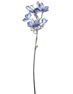 STELO 4010000117 MAGNOLIA LAVANDA GIAPPONESE CON BOCCIOLI
