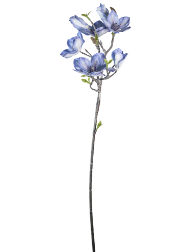 STELO 4010000117 MAGNOLIA LAVANDA GIAPPONESE CON BOCCIOLI