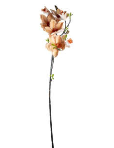 STELO 4010000119 MAGNOLIA PESCA GIAPPONESE CON BOCCIOLI