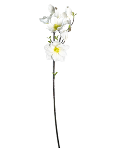 STELO 4010000136 MAGNOLIA BIANCA GIAPPONESE CON BOCCIOLI