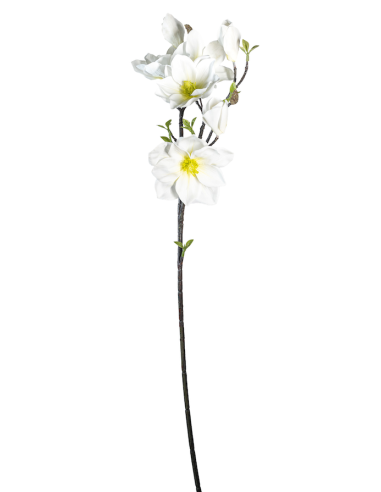 STELO 4010000136 MAGNOLIA BIANCA GIAPPONESE CON BOCCIOLI