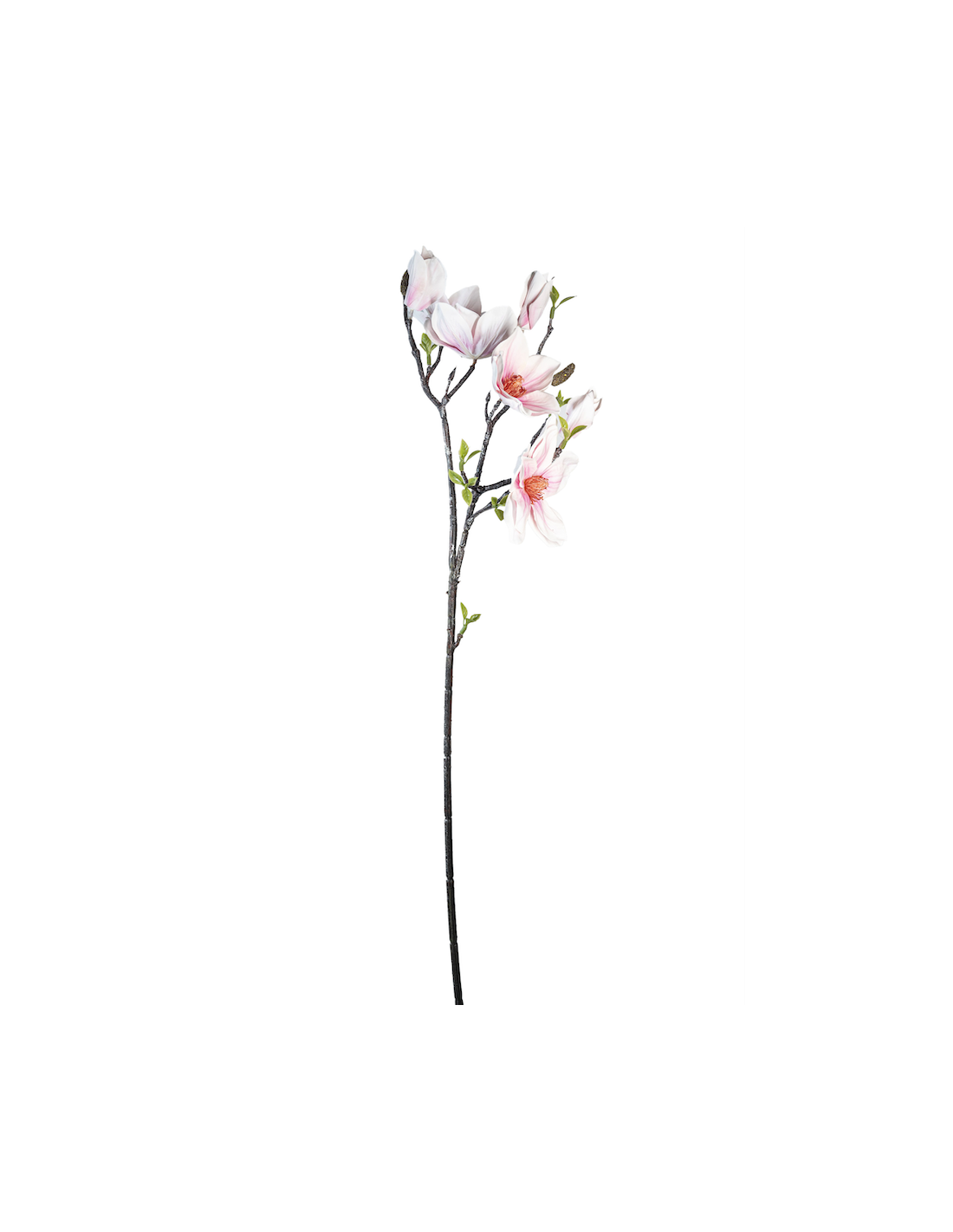 STELO 4010000192 MAGNOLIA ROSA/CREMA GIAPPONESE CON BOCCIOLI