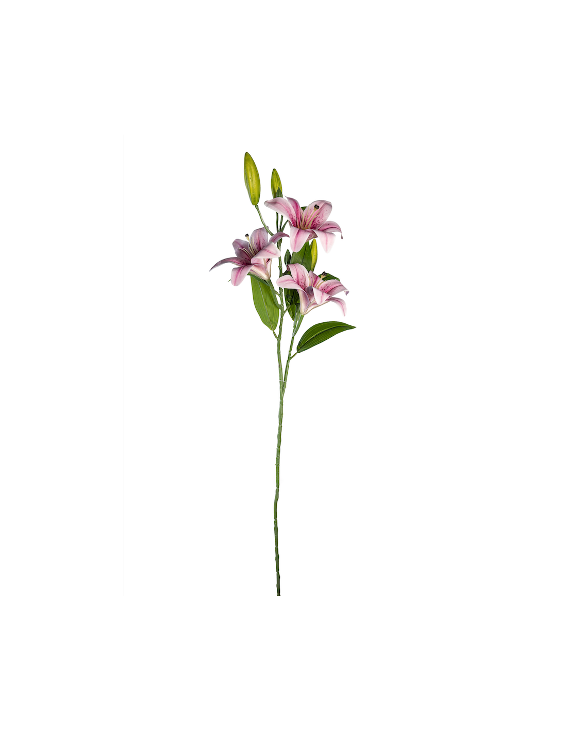 STELO 4015000306 LILIUM MALVA 3 FIORI E 3 BOCCIOLI
