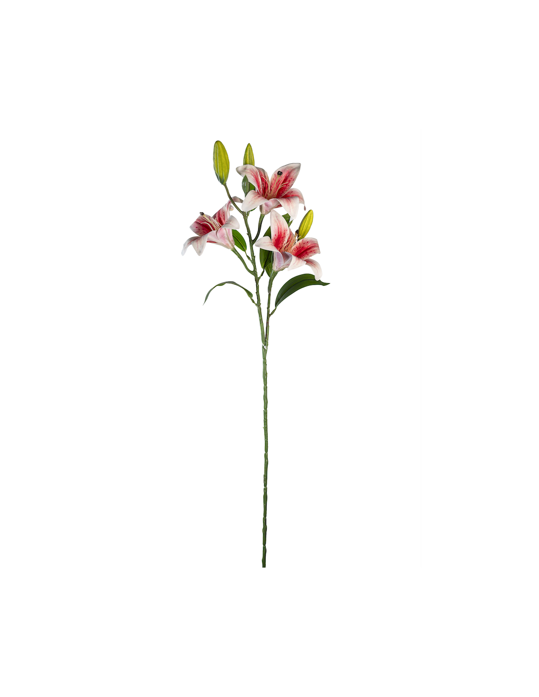 STELO 4015000362 LILIUM ROSSO/BIANCO 3 FIORI E 3 BOCCIOLI