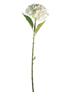 STELO 4000002010 HYDRANGEA CREMA A CESPUGLIO