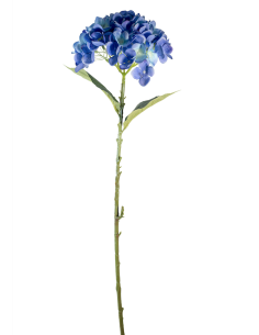 STELO 4000002023 HYDRANGEA BLU A CESPUGLIO